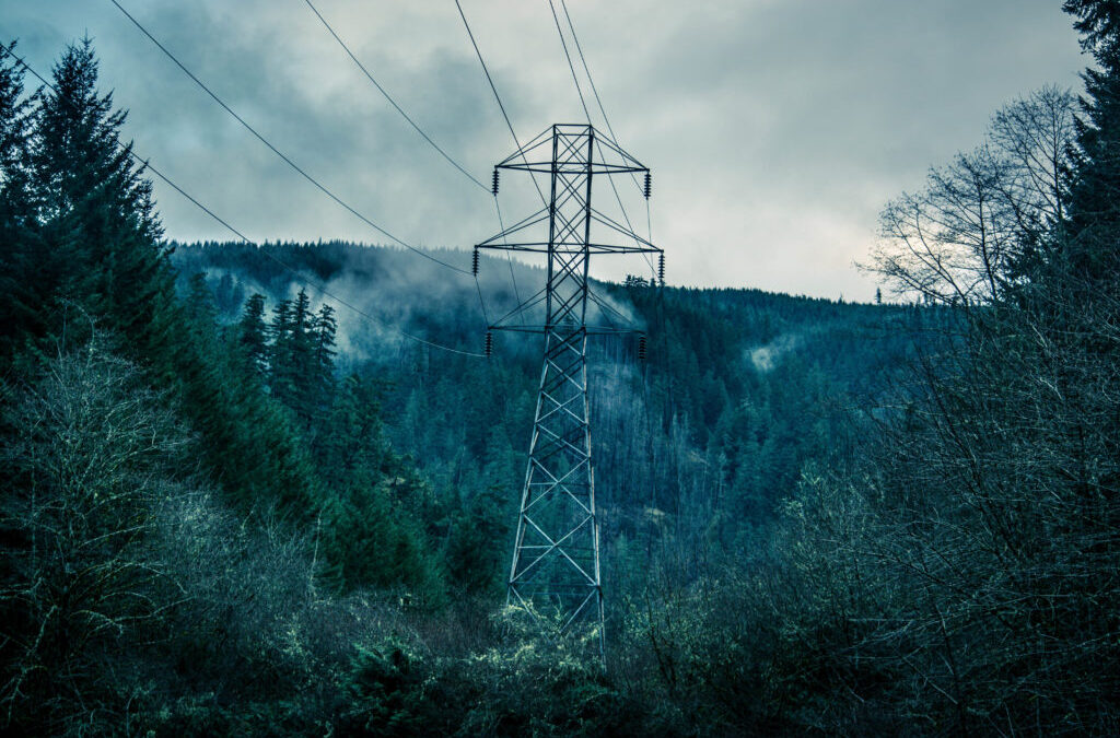3 Causes of Stray Voltage